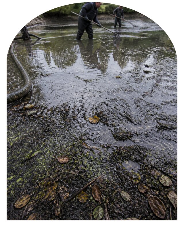 Очистка пруда в Касимах от ила мусора и водорослей с вывозом